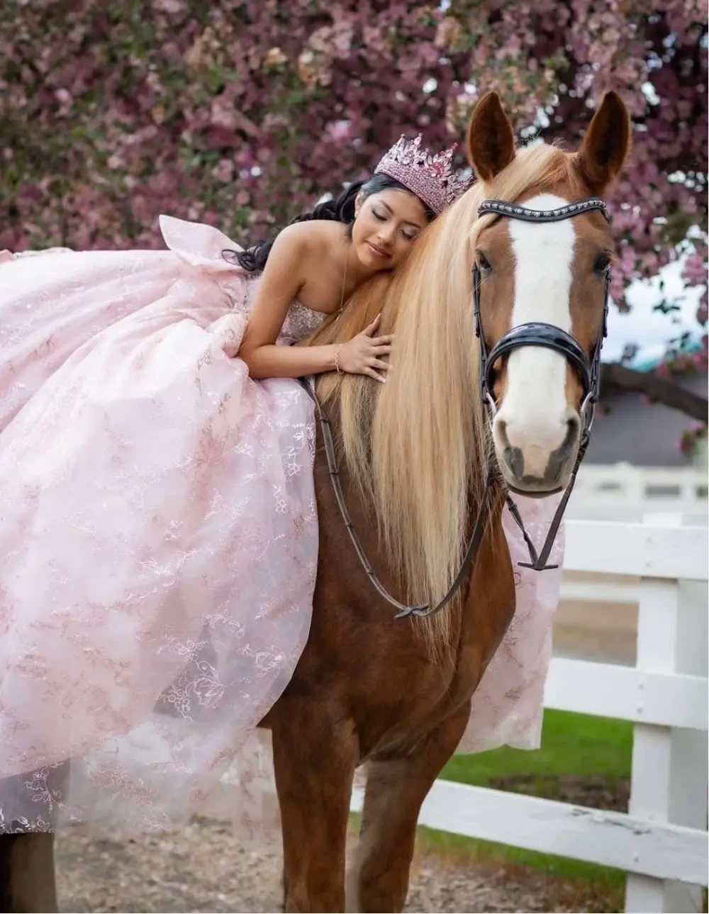 Gallery Image #slidesGrid52