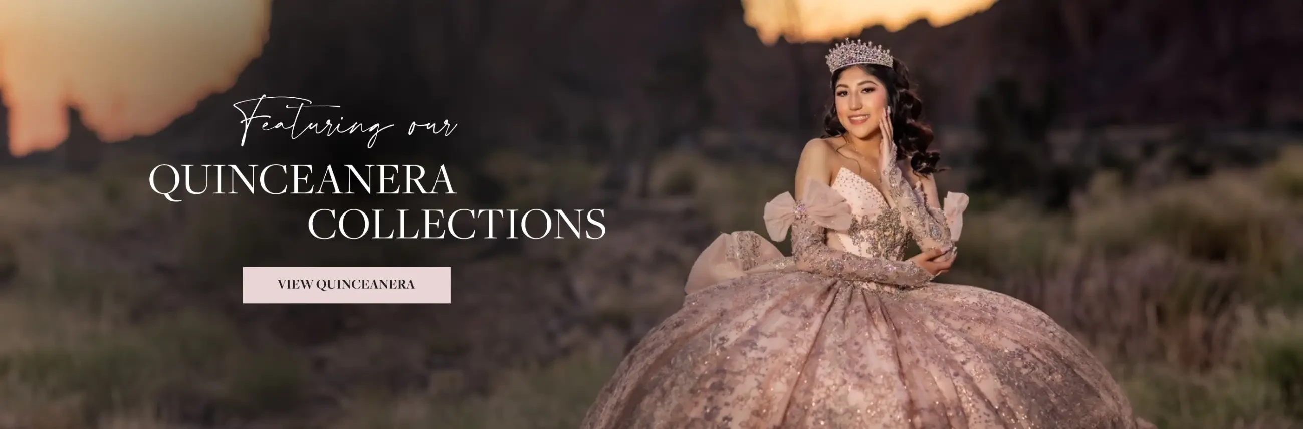 Quinceanera Desktop Banner